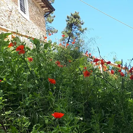 Villa Cima Delle Poiane, Stunning View *
